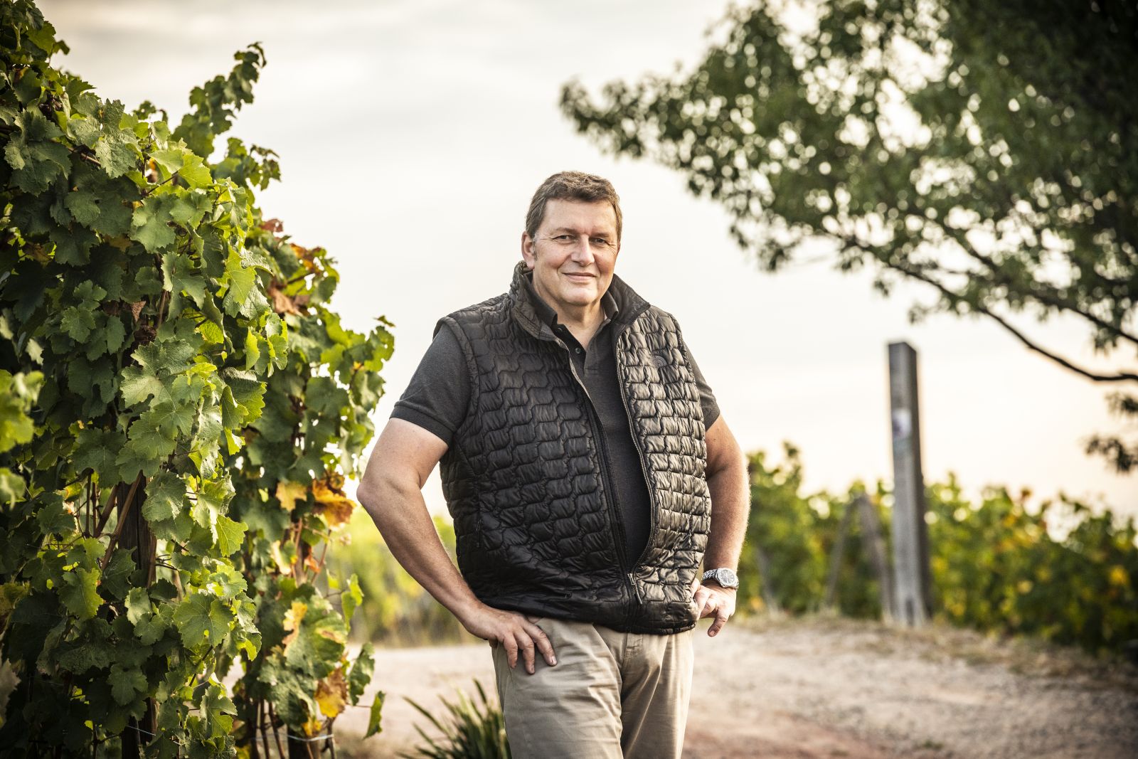 Olivier Humbrecht MW. Leif Carlsson Olivier Humbrecht MW portrait at Domaine Zind-Humbrecht